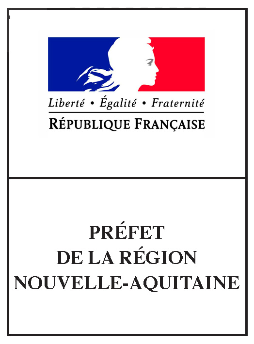 Alt Text